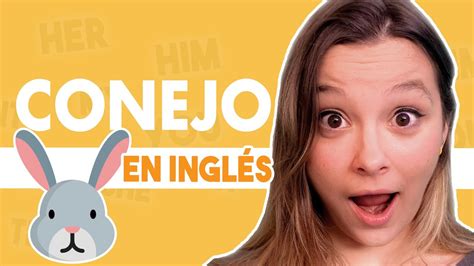 como se dice conejo en inglés|translate conjo.